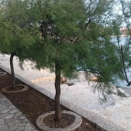 Kiko Apartment Rogoznica (Sibenik-Knin)